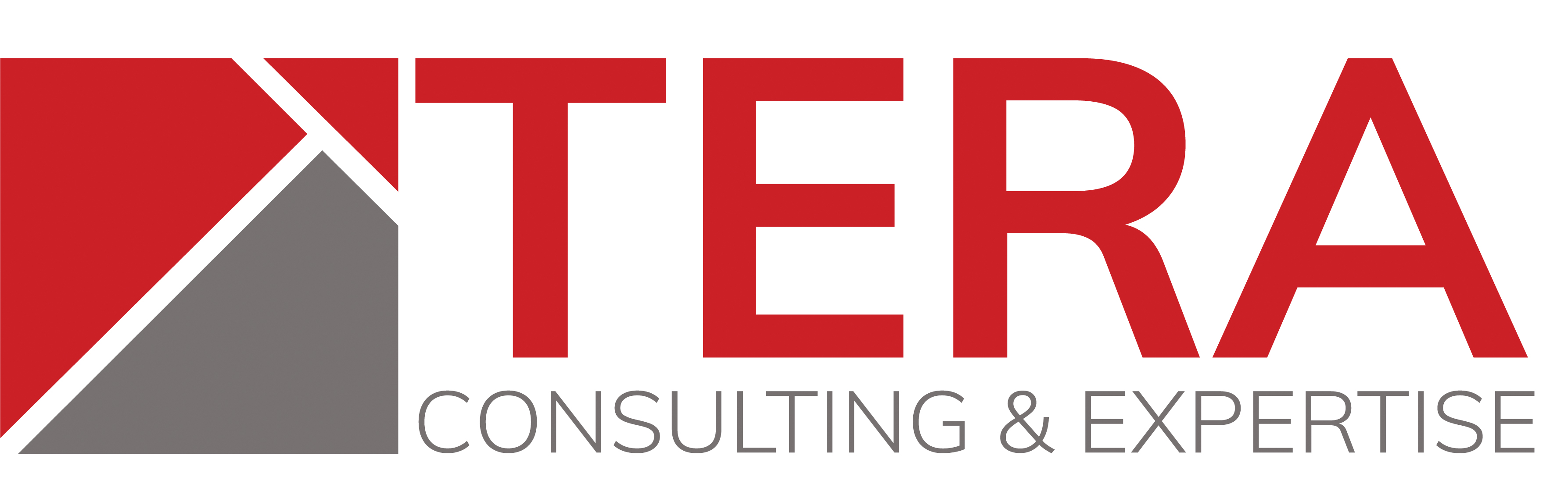 TERA Consultants